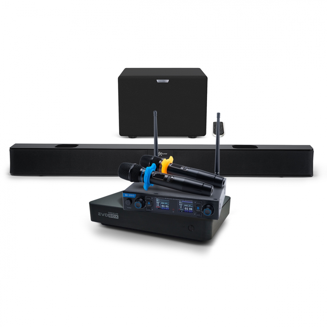 Hi-End караоке-система EVOBOX Premium + EvoSoundBar (саундбар с караоке) в Липецкой области