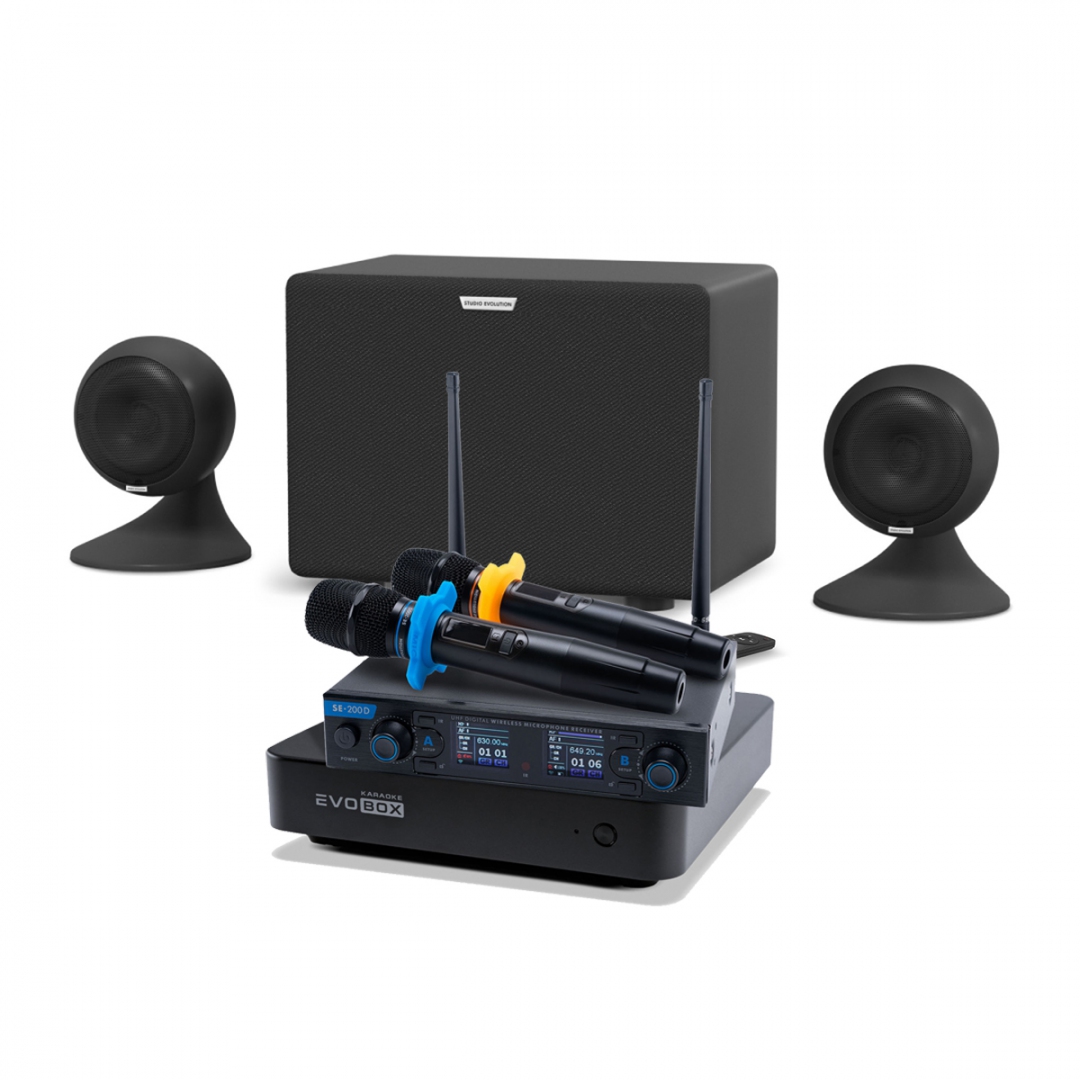 караоке-комплект EVOBOX + EvoSound Sphere 2.1 в Липецкой области