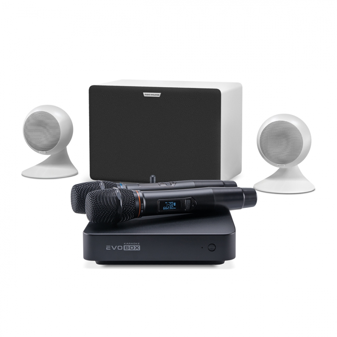 караоке-комплект EVOBOX Classic + EvoSound Sphere 2.1 в Липецкой области